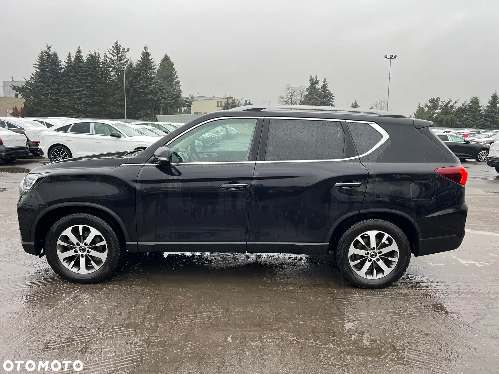 SsangYong/KGM Rexton 2.2 D Quartz 2WD 7os - 8