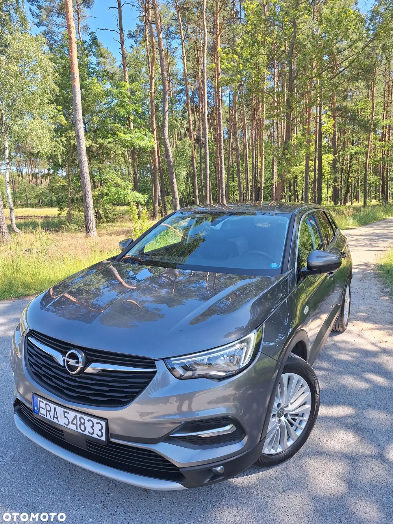 Opel Grandland X - 1