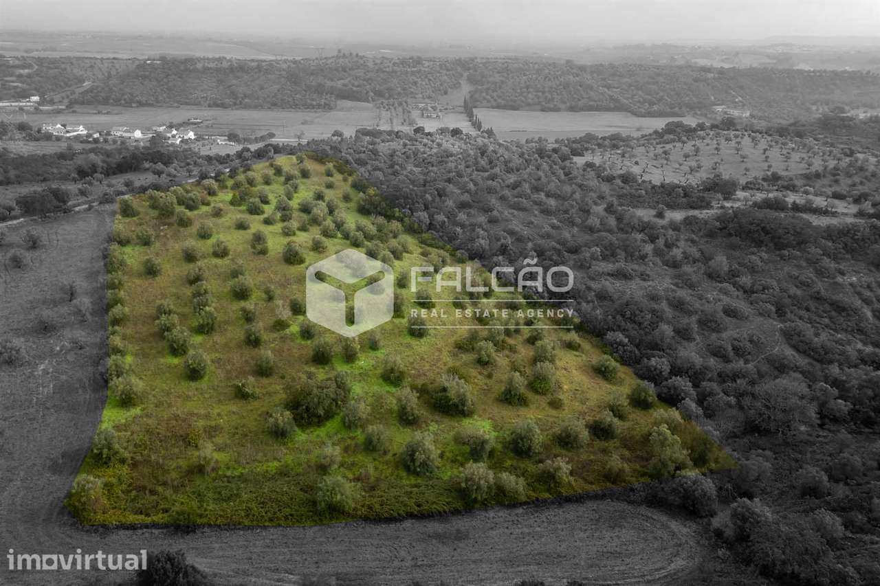 Terreno Misto  Venda em Pernes,Santarém - Grande imagem: 2/26
