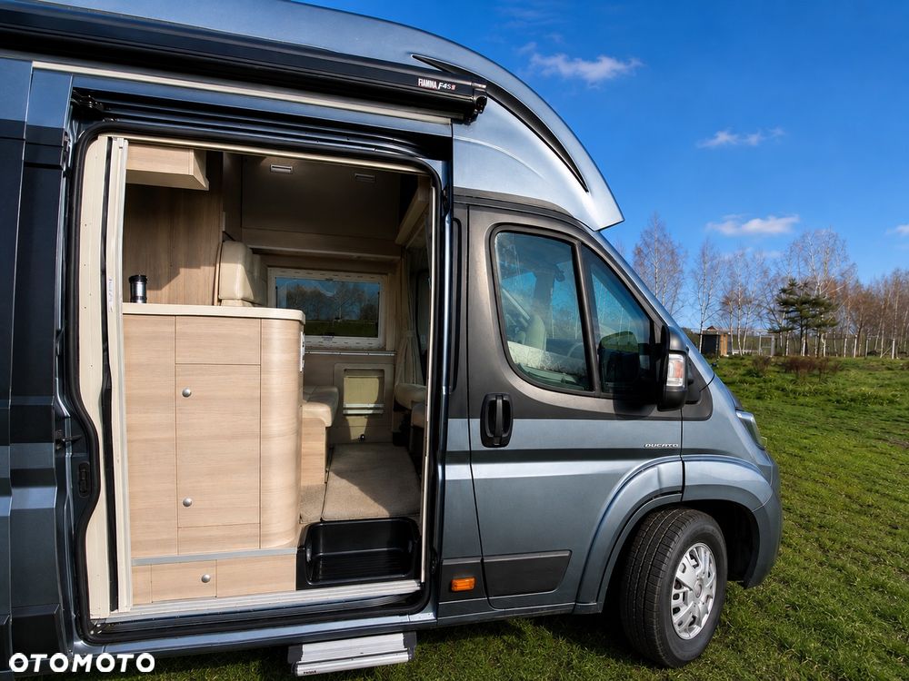 Globe-Traveller Boxer - 10