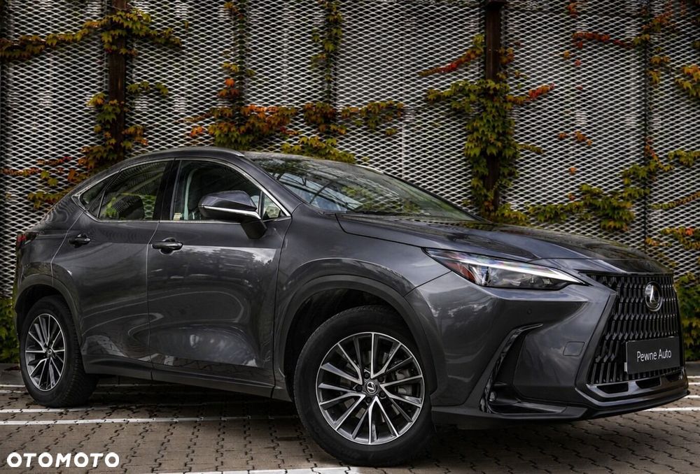 Lexus NX 350h Elegance 2WD - 12