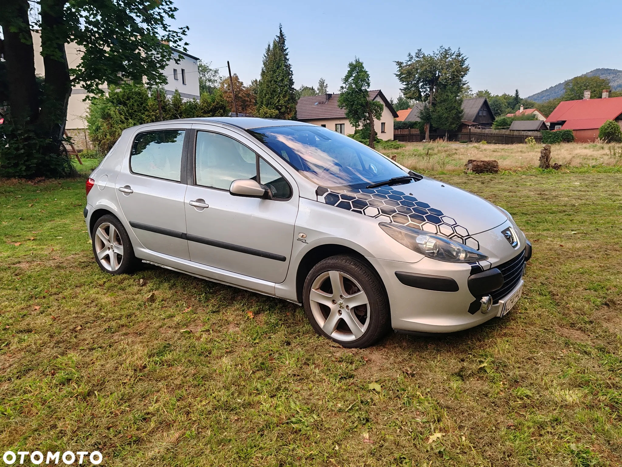 Peugeot 307 HDi Break 110 Sportline - 13