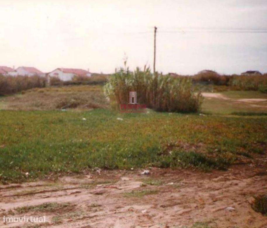 Terreno 8.012m2 com vista para as Berlengas - Grande imagem: 5/5