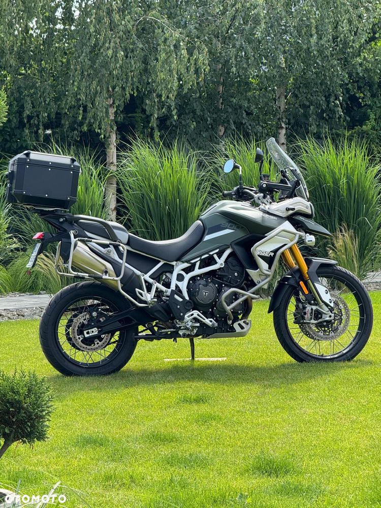 Triumph Tiger - 1