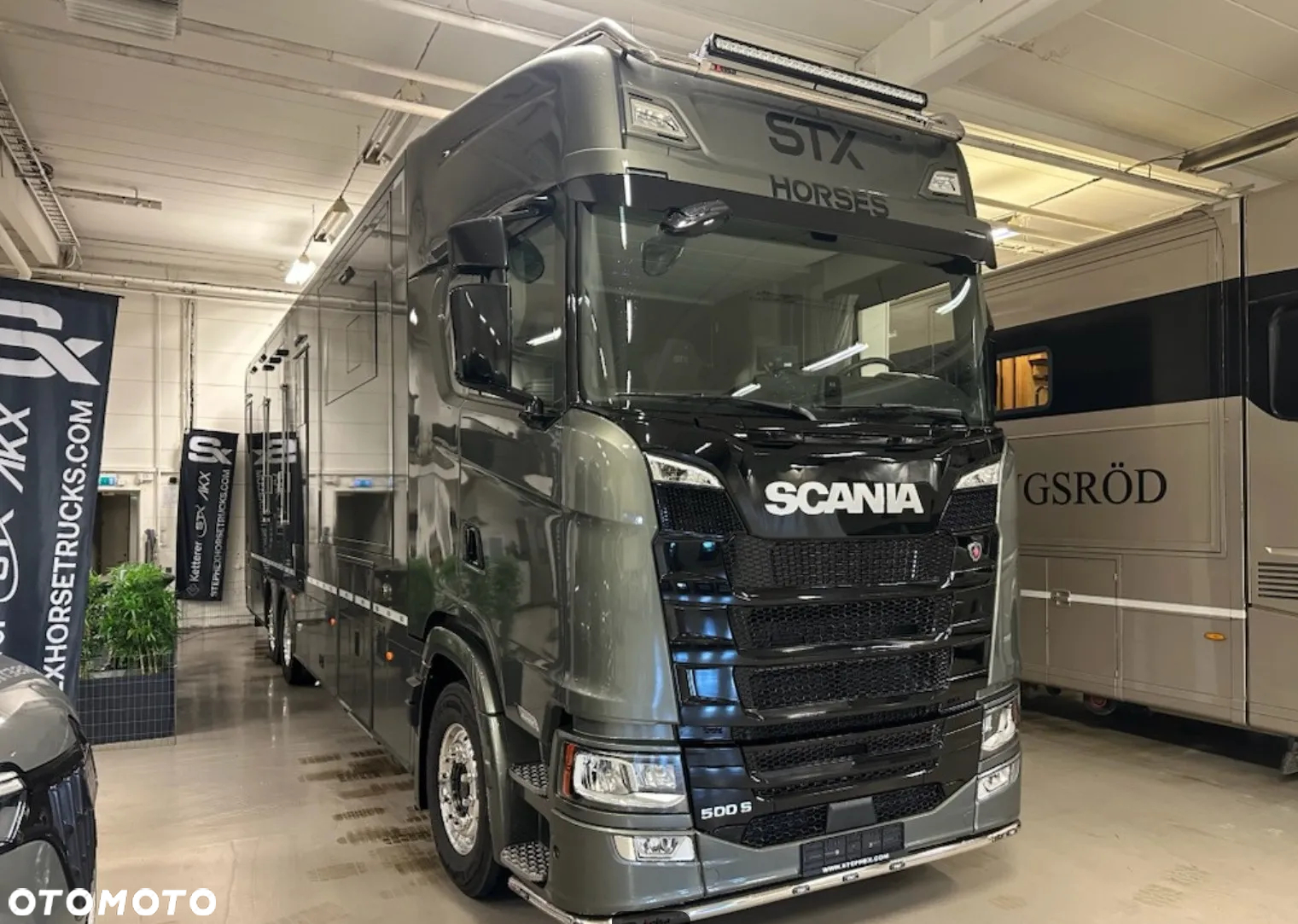 Scania S500, Koniowóz STX, 2x pop-out, pop-up 5/6 koni - 3