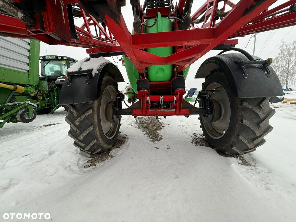 Krukowiak Goliat - 3