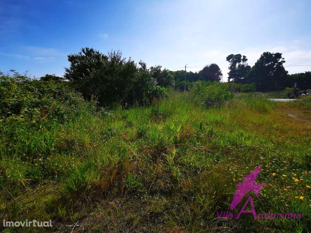 Terreno com 9670 m2 em Moledo - Grande imagem: 5/6