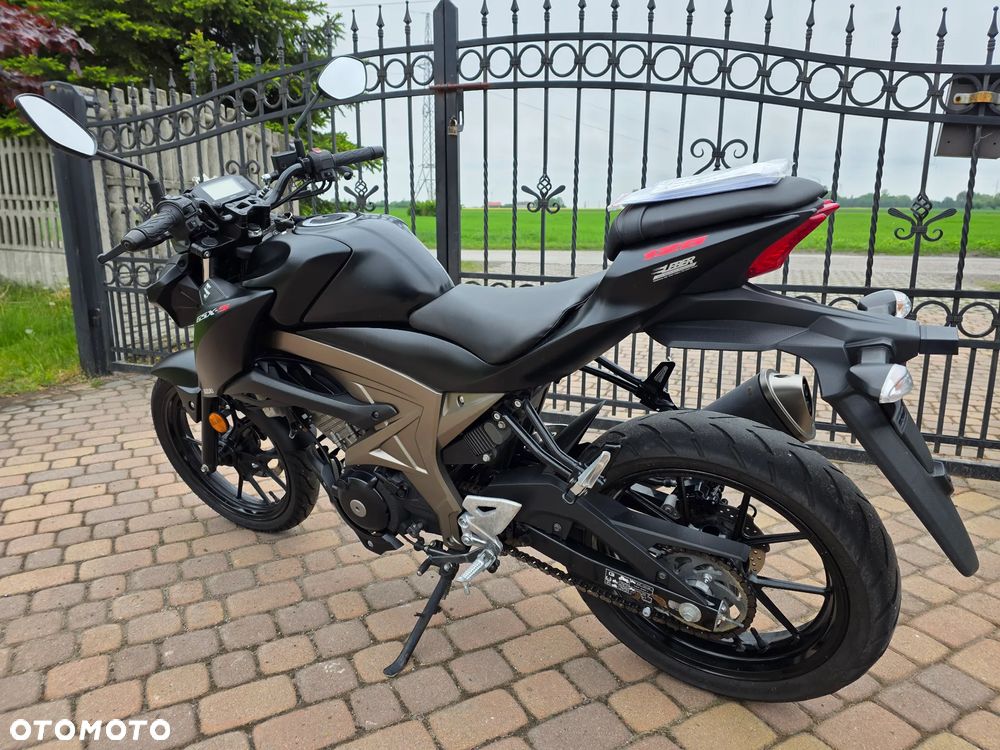 Suzuki GSX - 10