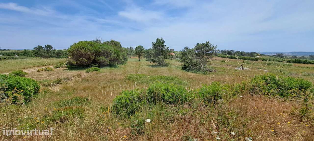 2 Lotes de Terreno (Rústicos) Serra dos Mangues, São Martinho do Porto - Grande imagem: 3/5