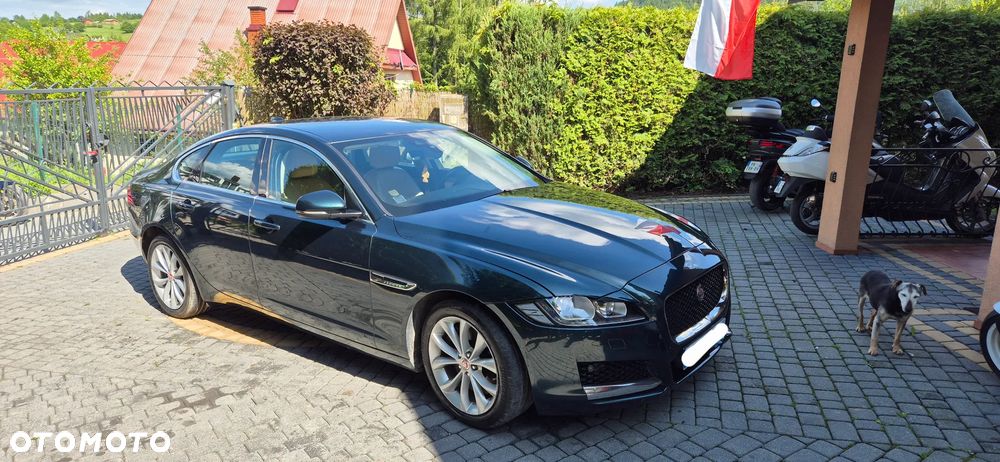 Jaguar XF 30d Prestige - 8