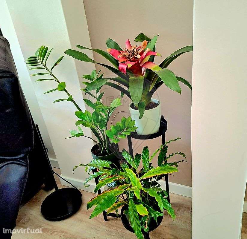 Apartamento T3 para venda - Grande imagem: 5/50