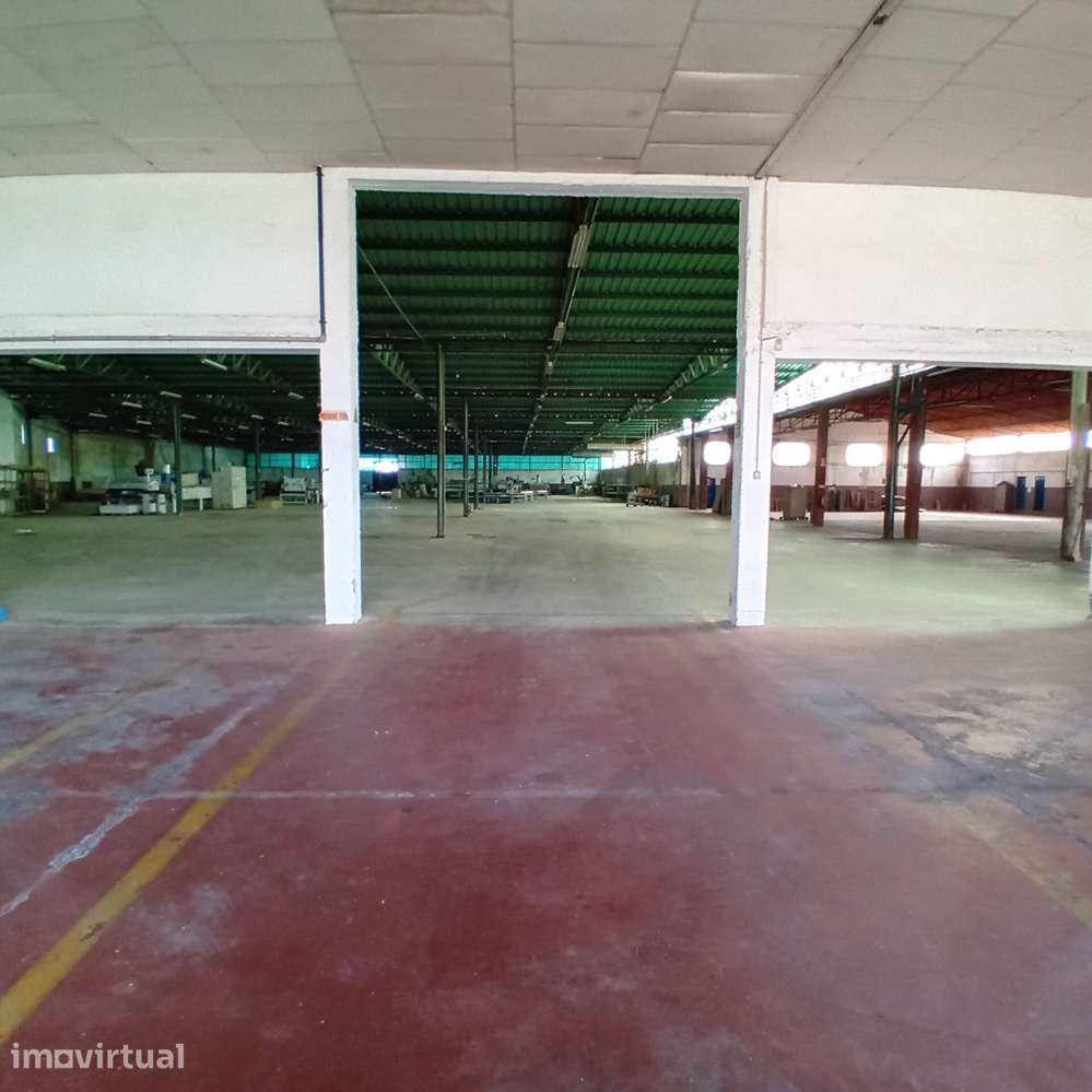 ARMAZÉM INDUSTRIAL | 5.300 m² | MOITAS - PERNES – SANTARÉM - Grande imagem: 5/14
