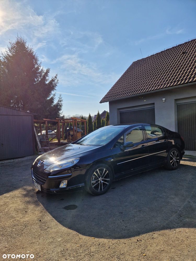 Peugeot 407 - 5