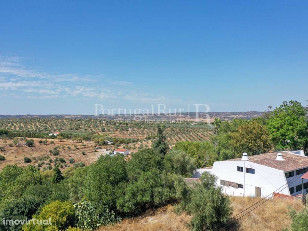 Quintinha com 2 moradias, boxes e picadeiro para cavalos em Moura -... - Grande imagem: 4/39