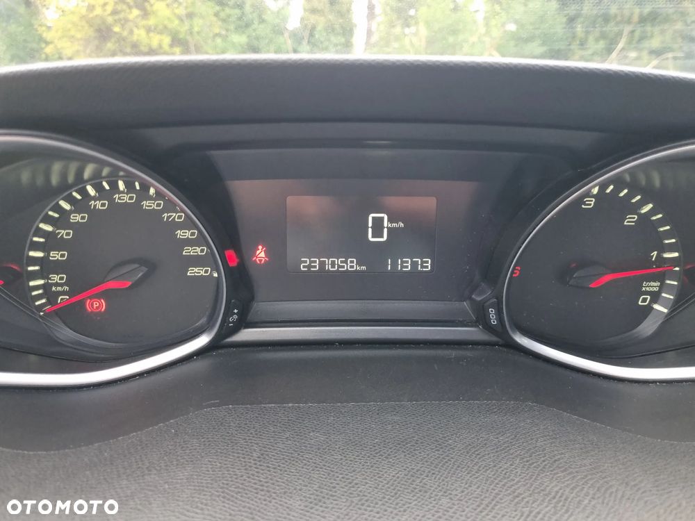 Peugeot 308 1.6 BlueHDi Active S&S - 14