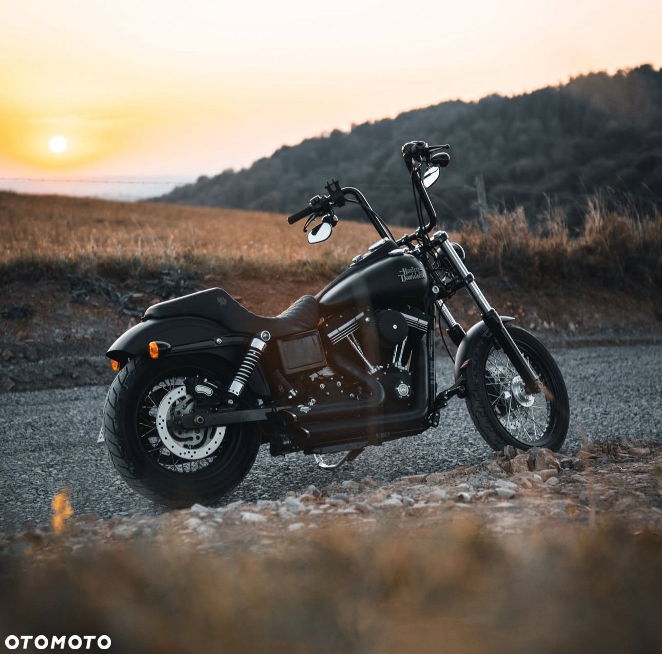 Harley-Davidson Dyna Street Bob - 1
