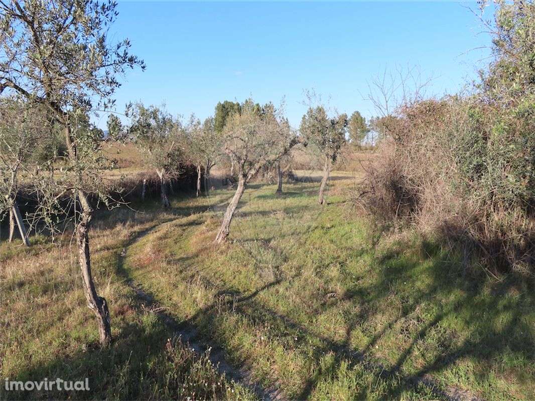 Quinta  para venda - Grande imagem: 2/21