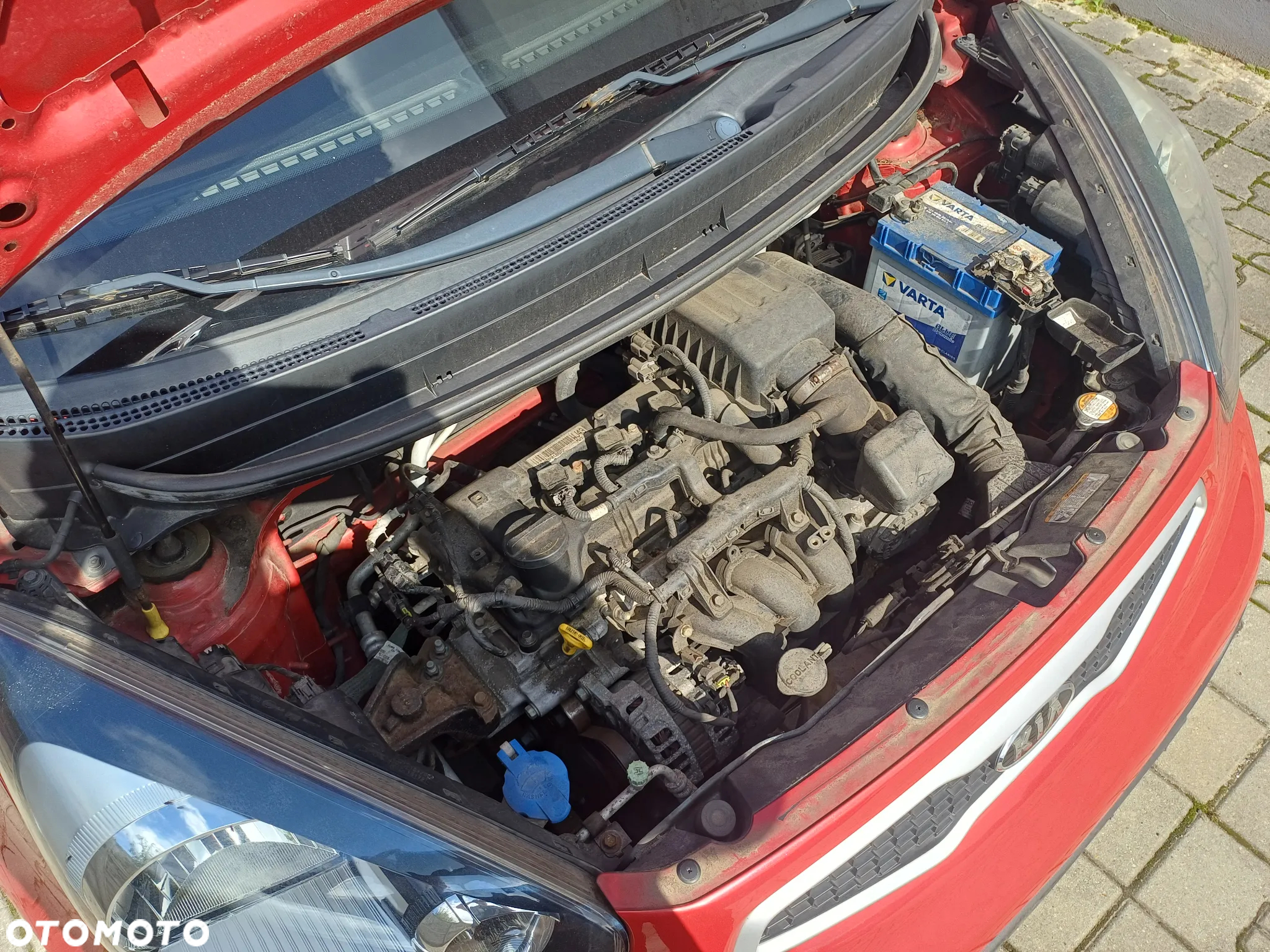 Kia Picanto - 21