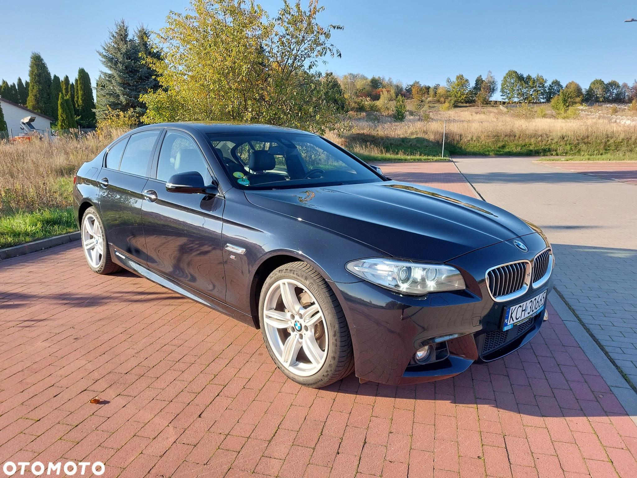 BMW Seria 5 520d M Sport - 10