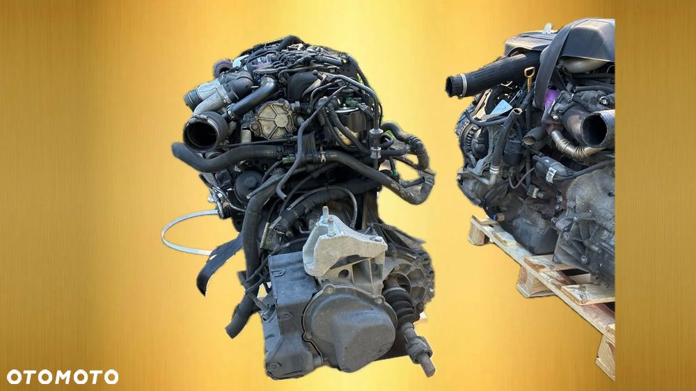 Ford HHJD 1.6 diesel silnik kompletny z pełnym osprzętem gotowy do montażu VIDEO PRACY SILNIKA - WHATSAPP LUB LINK W OPISIE - 3