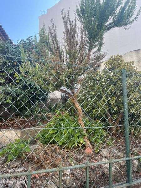 Moradia Odivelas - Grande imagem: 3/7