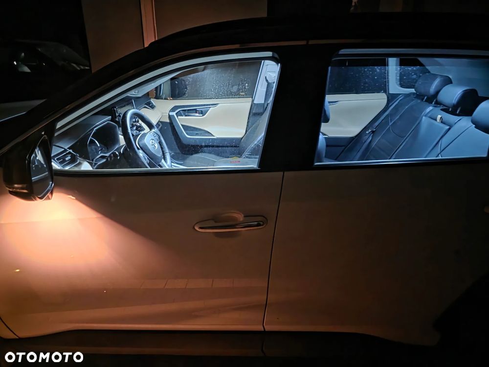 Toyota RAV4 2.5 Hybrid Executive 4x4 - 12
