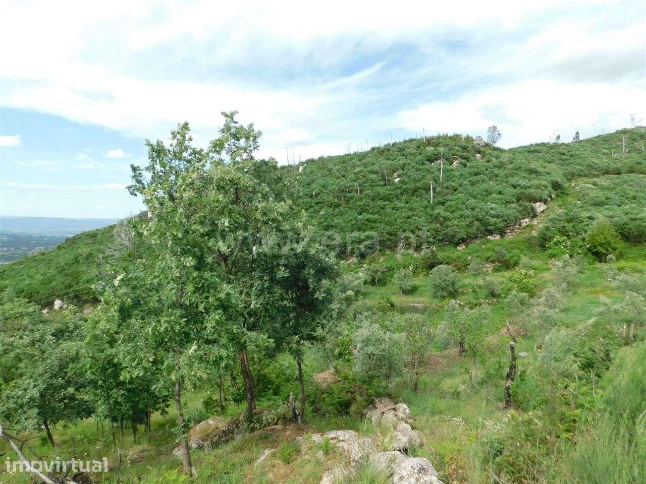 Quintinha / Seia, Santa Marinha e São Martinho - Grande imagem: 5/20