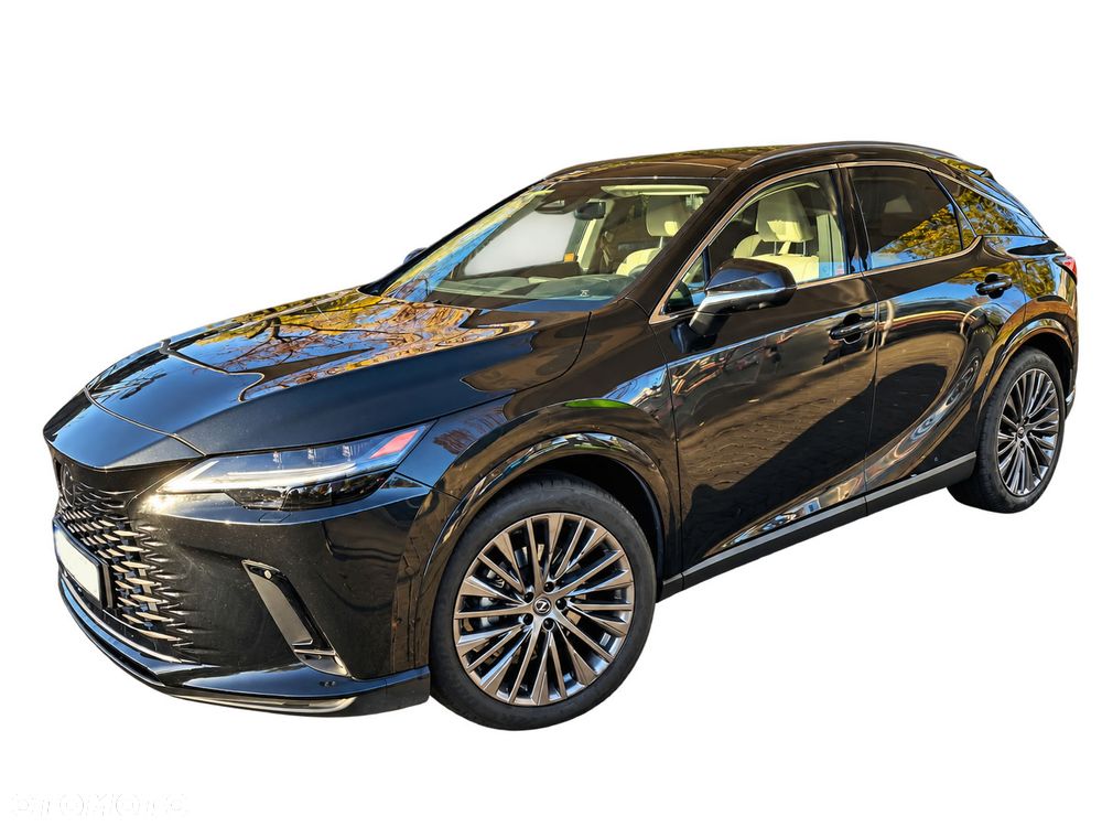 Lexus RX - 16