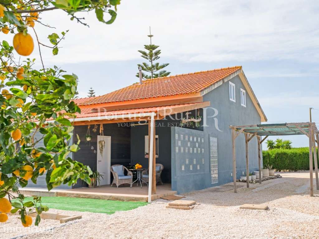 Quinta com Moradia T3 e 5.025 m² de Terreno em Benavente - Grande imagem: 4/51