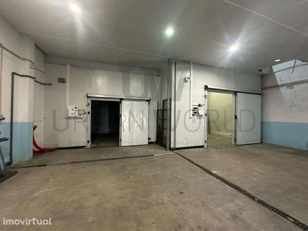 Armazém de Frio Industrial C/ Licença Veterinária P/ Ramo Alimentar... - Grande imagem: 3/20