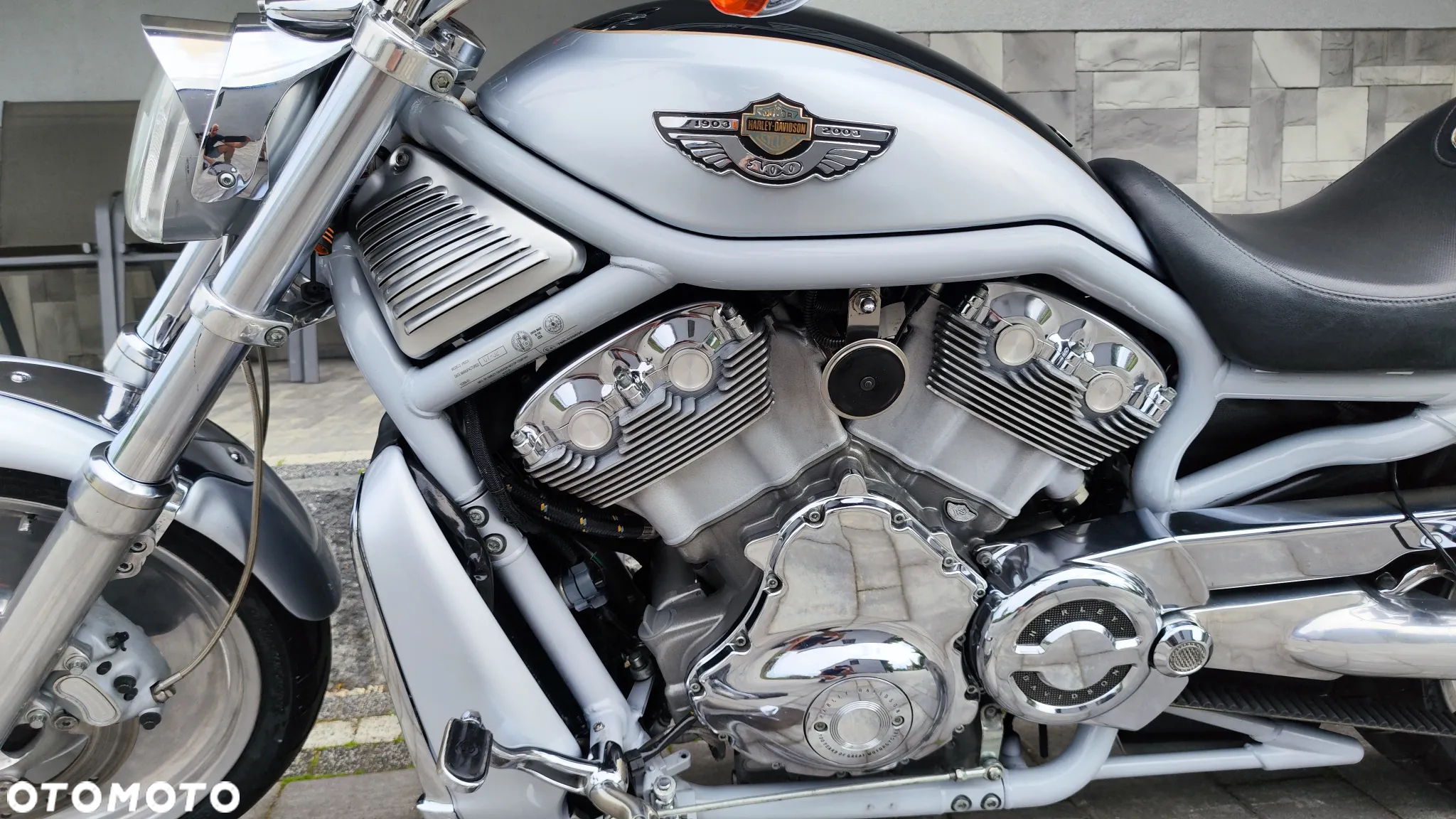 Harley-Davidson Softail V-Rod - 5