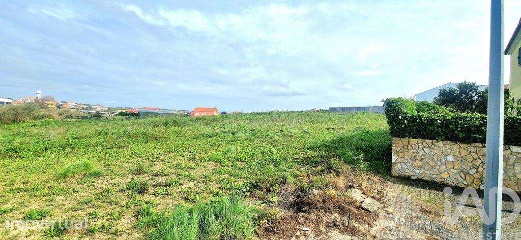 Terreno em Ericeira de 10001,00 m2 - Grande imagem: 5/19