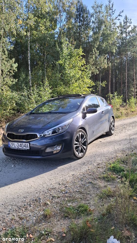 Kia Ceed - 1
