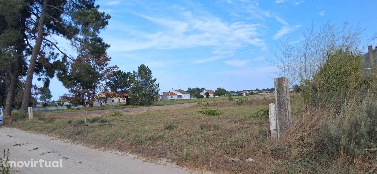 Terreno rustico 5000m2 com casa rustica 50 m2 em Marinhais - Grande imagem: 2/4