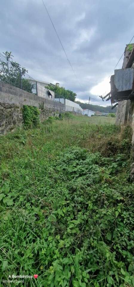 Terreno com Ruína para construção em Escariz - Grande imagem: 5/8