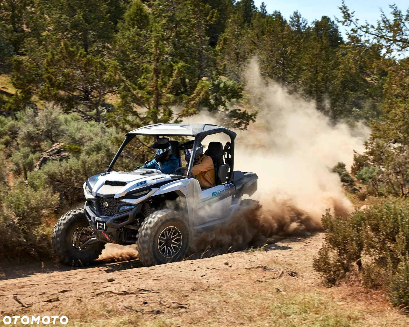 Yamaha Wolverine - 5