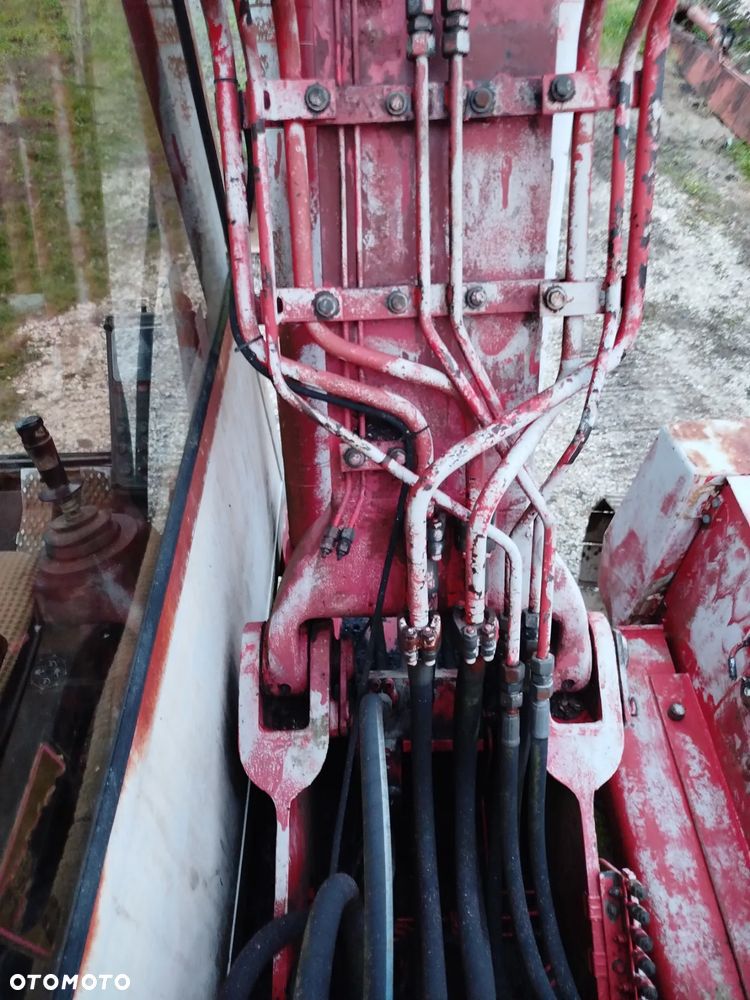 Case 61 błotniak - 9