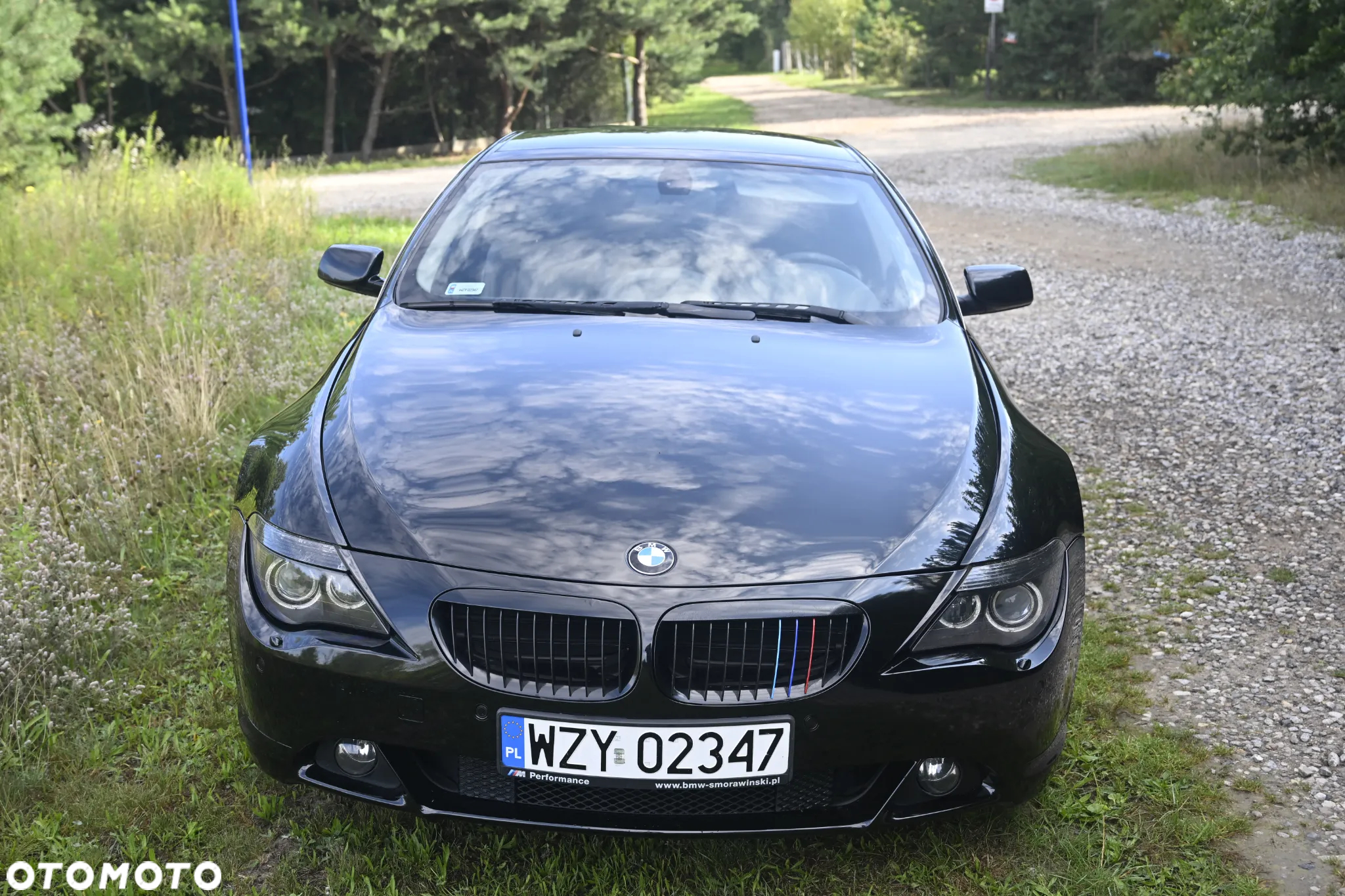 BMW Seria 6 645Ci - 2