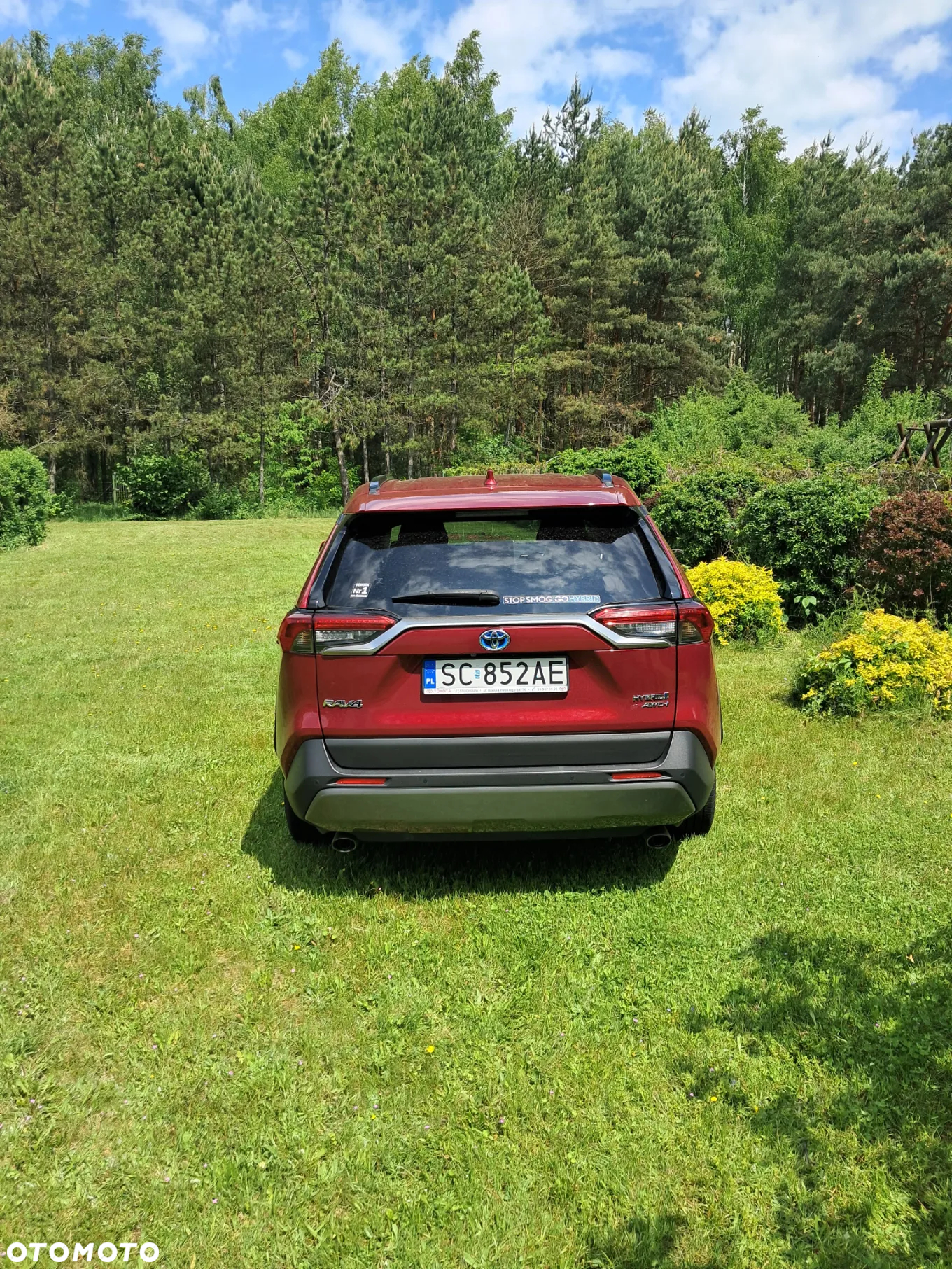 Toyota RAV4 2.5 Hybrid Comfort 4x4 - 14