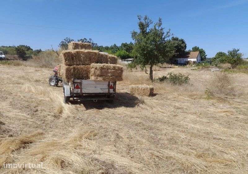 Terreno/ quinta