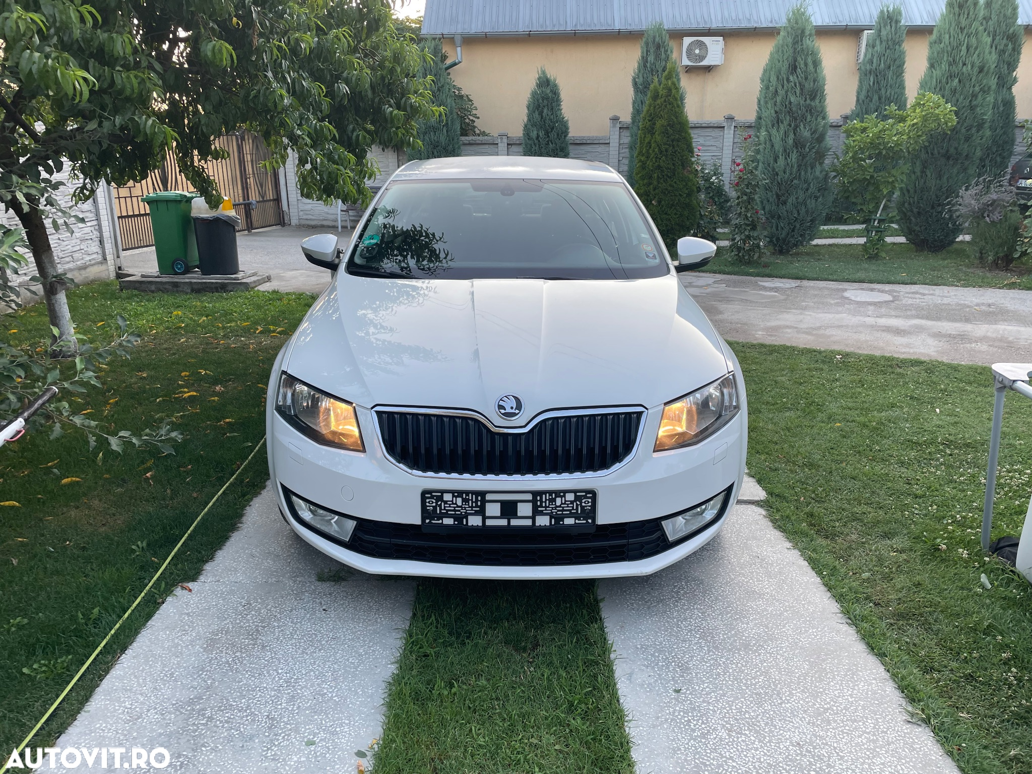 Skoda Octavia - 14