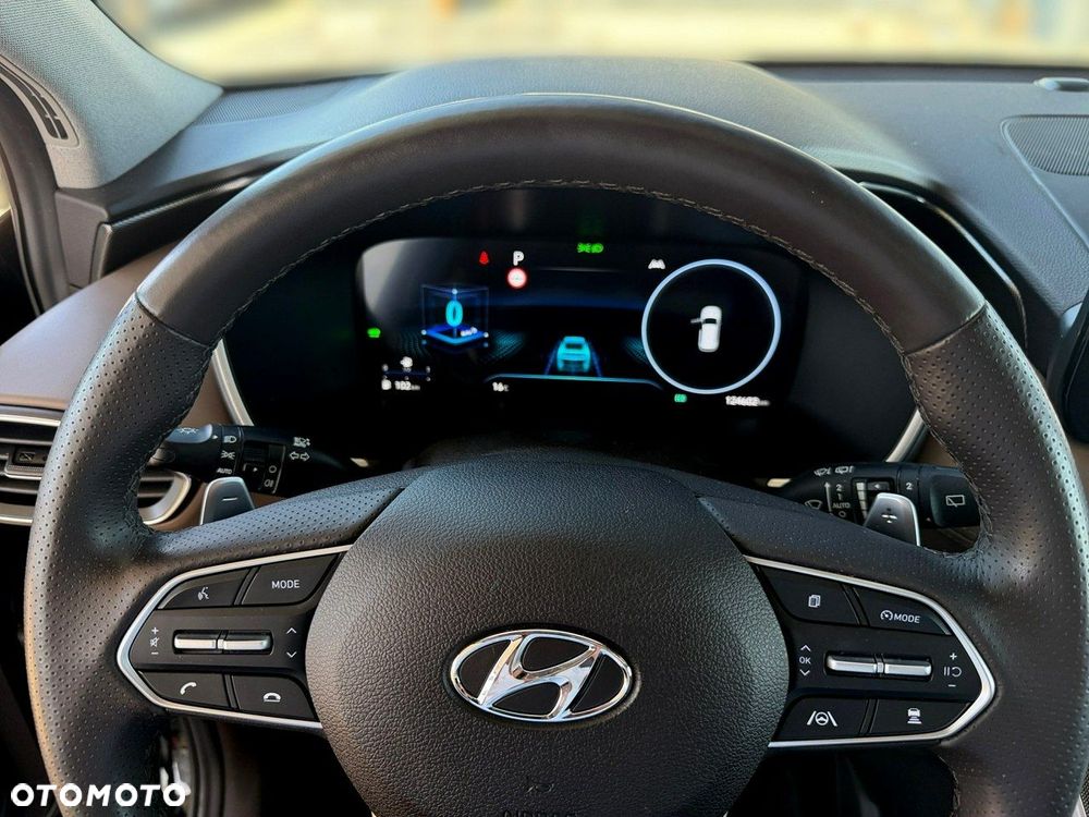 Hyundai Santa Fe - 18