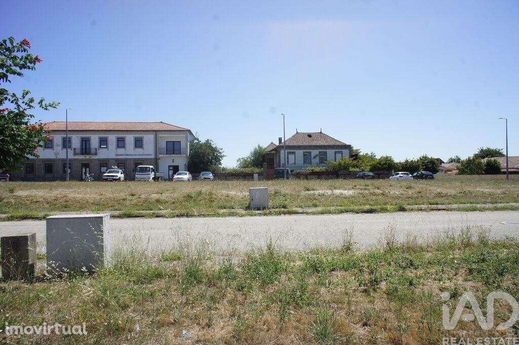 Terreno em Carrazedo de Montenegro e Curros de 301,00 m2 - Grande imagem: 3/7