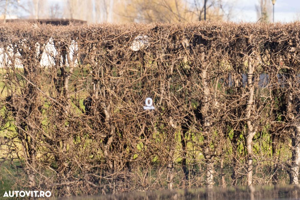 Volvo XC 90 D5 AWD Inscription - 31