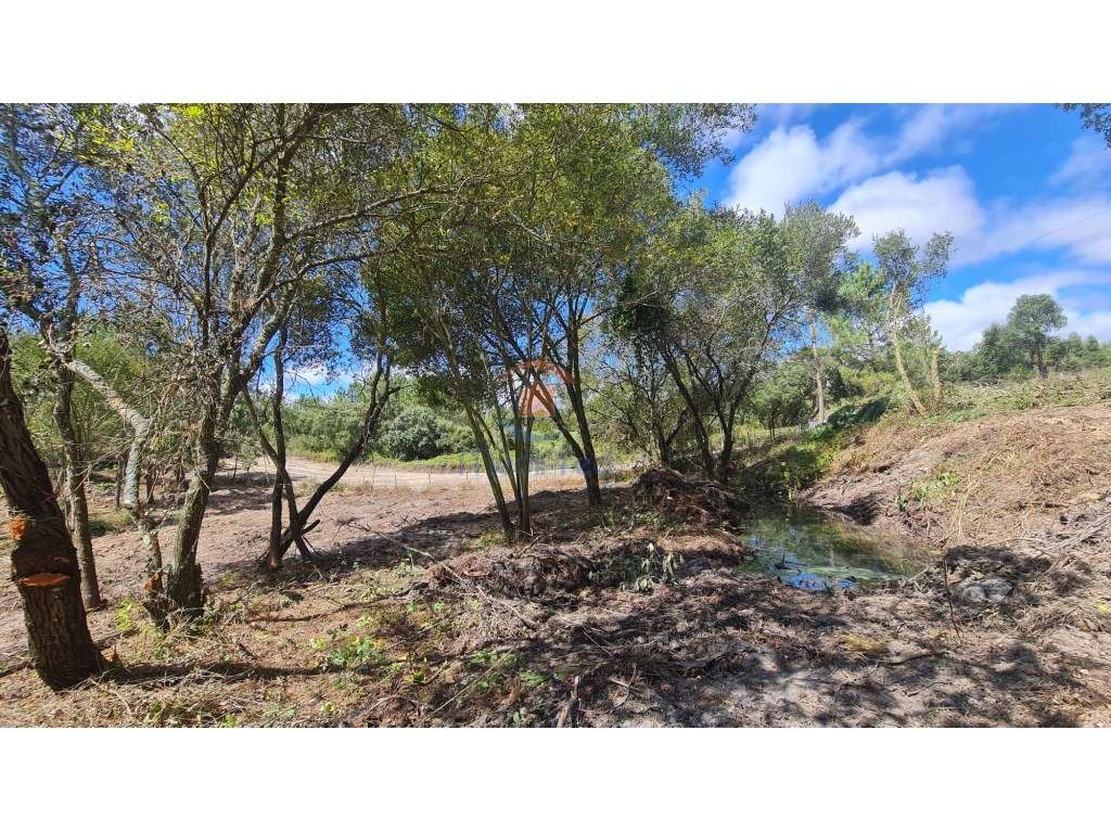 Terreno 12.000 m2 com parte urbana | Lapa, Cartaxo - Grande imagem: 3/6