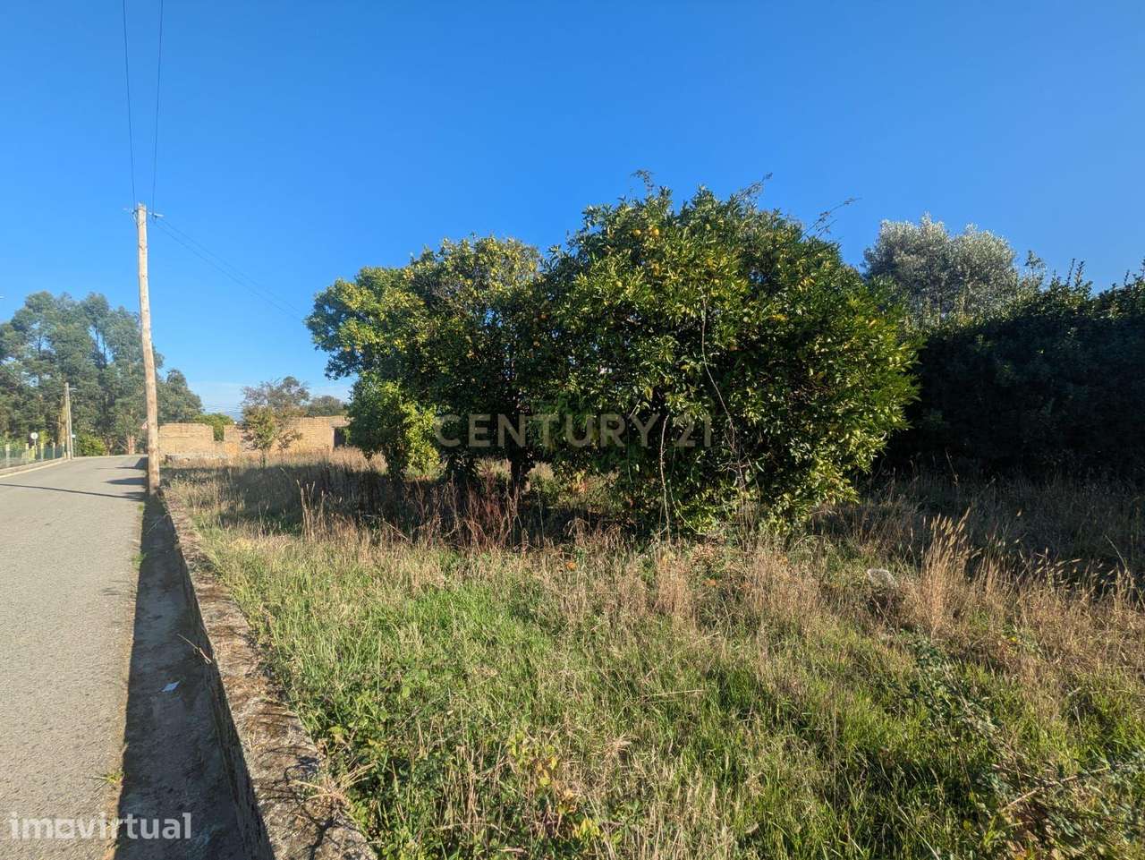 Terreno com 1700 m2 3m Oiã - Oliveira do Bairro- Excelente Localização - Grande imagem: 3/5