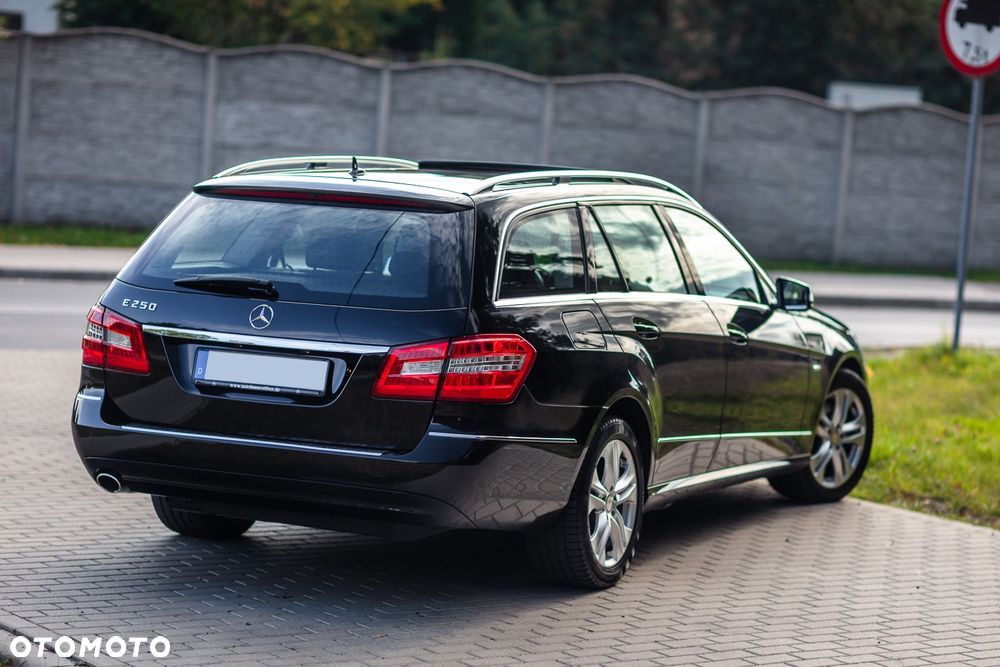 Mercedes-Benz Klasa E 250 BlueEFFICIENCY 7G-TRONIC Avantgarde - 15
