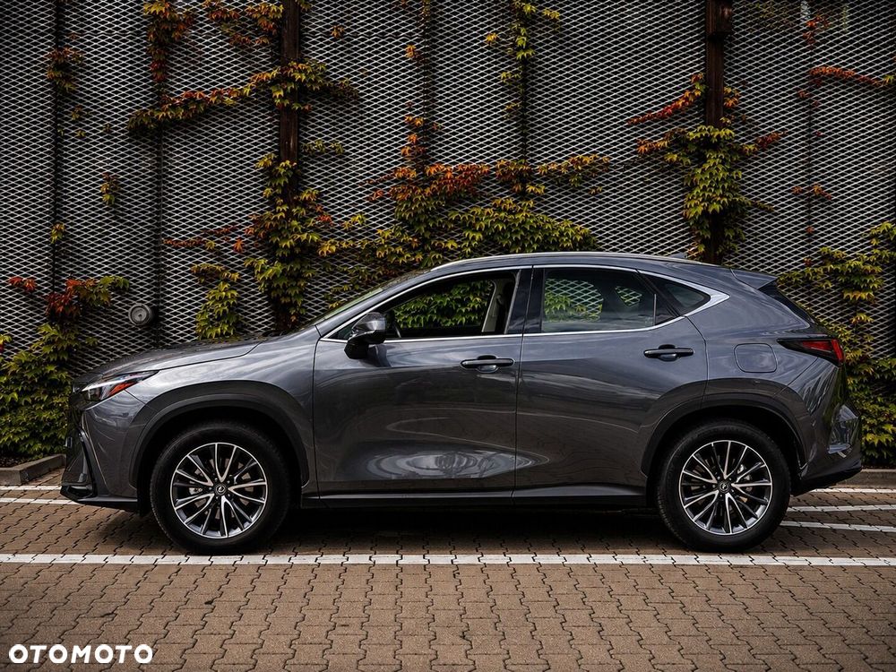 Lexus NX 350h Elegance 2WD - 10