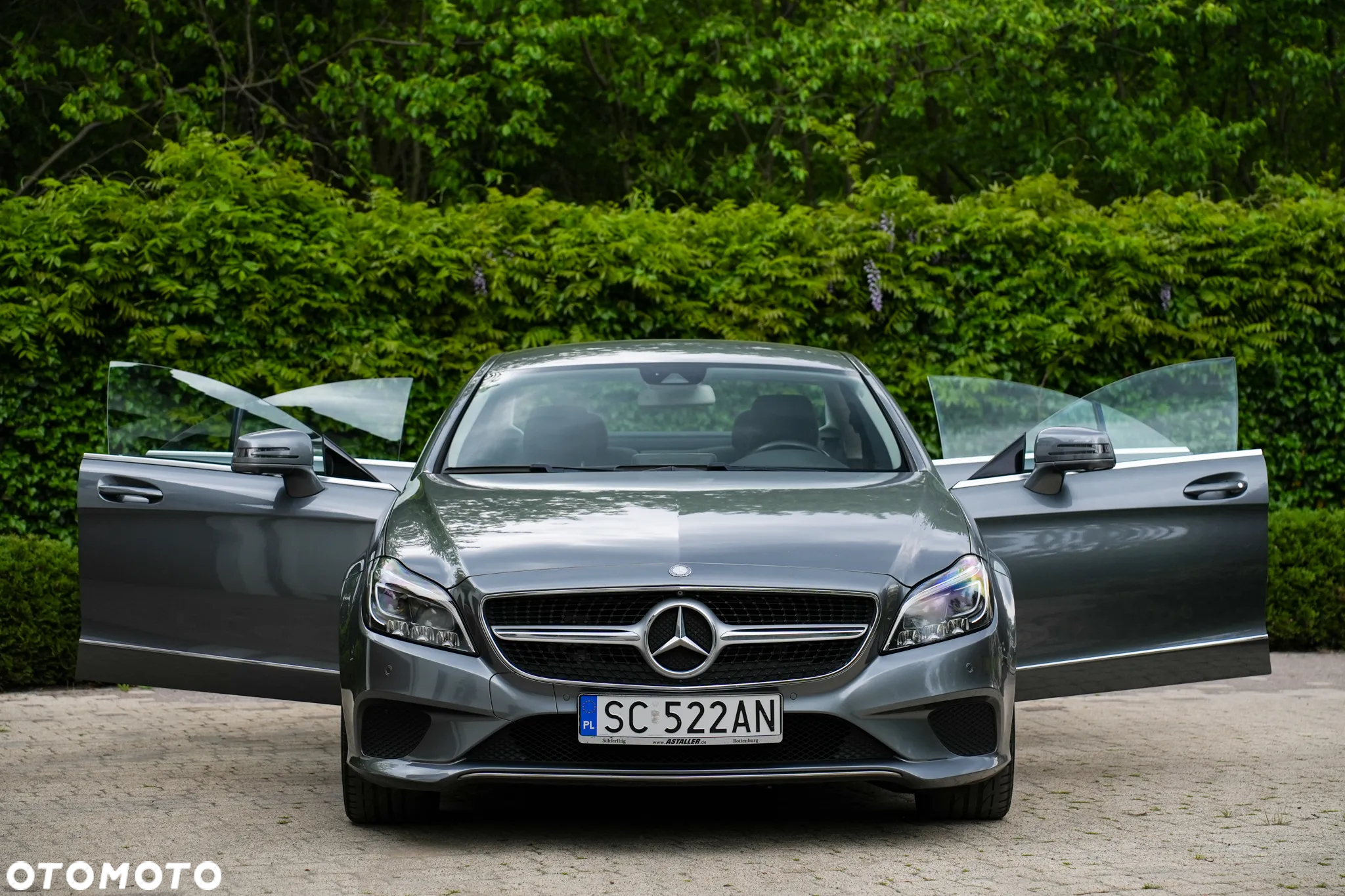 Mercedes-Benz CLS 350 (BlueTEC) d - 13