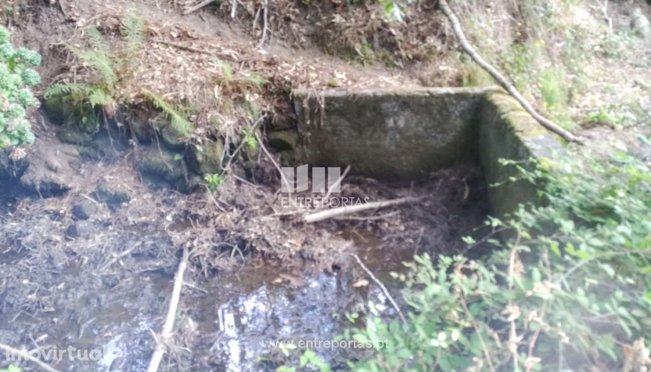 Venda de Quinta V2 para restauro, Caires, Amares - Grande imagem: 3/24